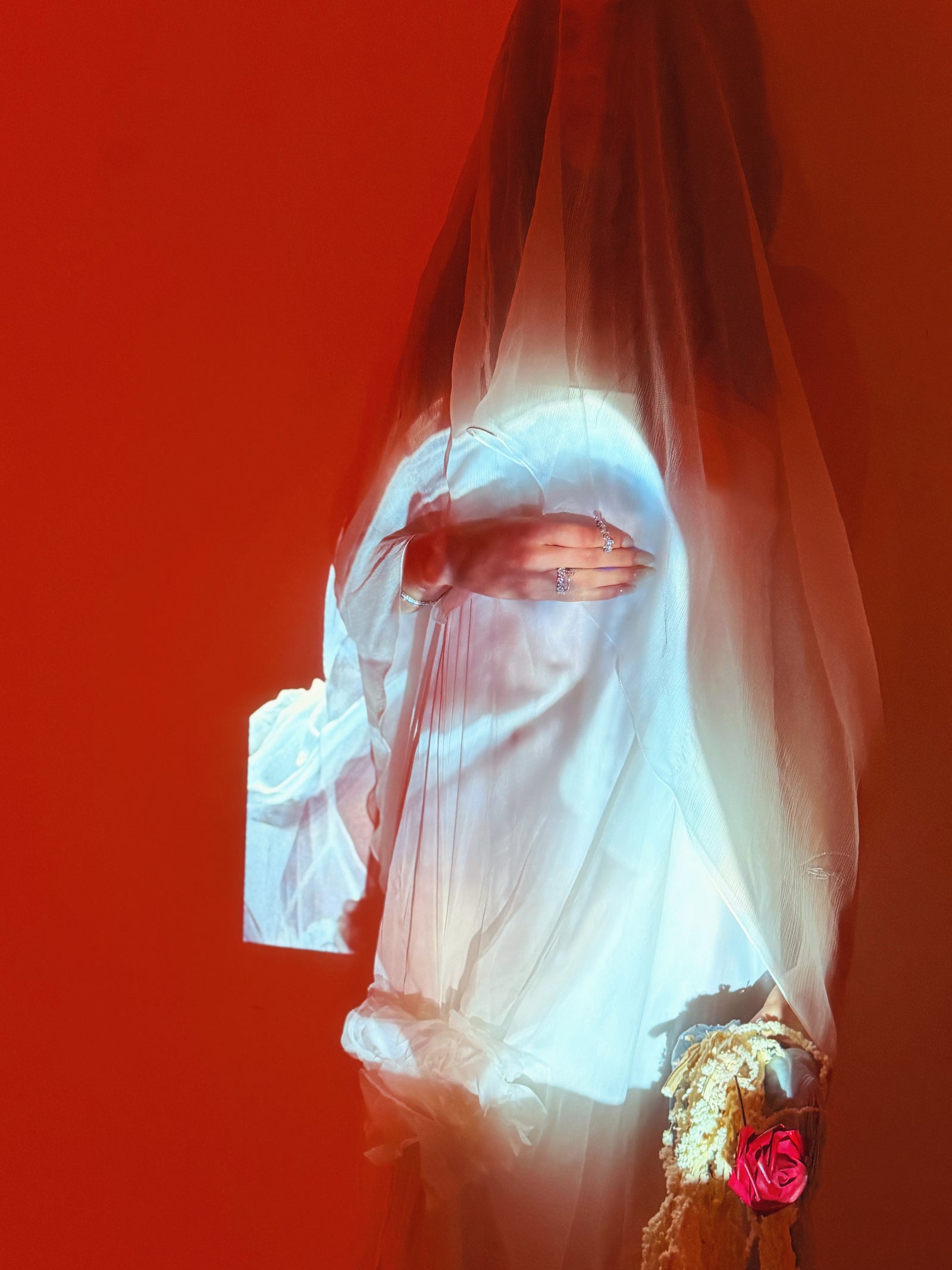 Wine & The Virgin Mary - Not A Shared Love Story
